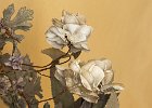 The Ron Harrison Trophy for Best Small Print - Cemetery Rose by Rebecca Nex